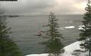 ./images/quadra/bluff/20200116/bluff20200116_081500M.jpg