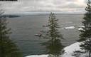 ./images/quadra/bluff/20200116/bluff20200116_085000M.jpg