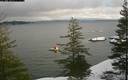 ./images/quadra/bluff/20200116/bluff20200116_122459M.jpg