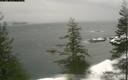 ./images/quadra/bluff/20200118/bluff20200118_080959M.jpg