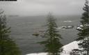 ./images/quadra/bluff/20200118/bluff20200118_092459M.jpg