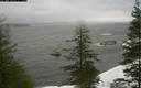 ./images/quadra/bluff/20200118/bluff20200118_111000M.jpg