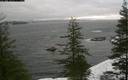 ./images/quadra/bluff/20200118/bluff20200118_114000M.jpg
