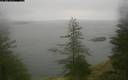 ./images/quadra/bluff/20200119/bluff20200119_111500M.jpg