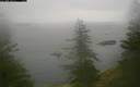 ./images/quadra/bluff/20200119/bluff20200119_111959M.jpg