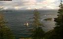 ./images/quadra/bluff/20200126/bluff20200126_112500M.jpg