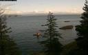 ./images/quadra/bluff/20200129/bluff20200129_125000M.jpg