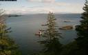 ./images/quadra/bluff/20200201/bluff20200201_131500M.jpg