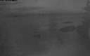 ./images/quadra/bluff/20200201/bluff20200201_175500M.jpg