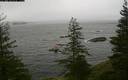 ./images/quadra/bluff/20200202/bluff20200202_111000M.jpg