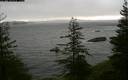 ./images/quadra/bluff/20200202/bluff20200202_115500M.jpg