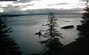 ./images/quadra/bluff/20200208/bluff20200208_070959M.jpg