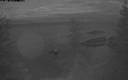 ./images/quadra/bluff/20200216/bluff20200216_182000M.jpg