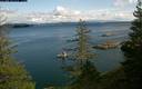 ./images/quadra/bluff/20200229/bluff20200229_125000M.jpg