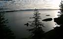 ./images/quadra/bluff/20200304/bluff20200304_081959M.jpg