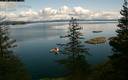 ./images/quadra/bluff/20200308/bluff20200308_135500M.jpg