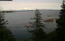 ./images/quadra/bluff/20200309/bluff20200309_164500M.jpg