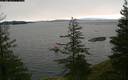 ./images/quadra/bluff/20200310/bluff20200310_080500M.jpg