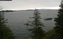 ./images/quadra/bluff/20200310/bluff20200310_082500M.jpg