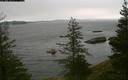 ./images/quadra/bluff/20200310/bluff20200310_112500M.jpg
