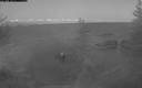 ./images/quadra/bluff/20200315/bluff20200315_200500M.jpg