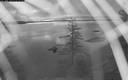 ./images/quadra/bluff/20200324/bluff20200324_064500M.jpg