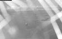 ./images/quadra/bluff/20200324/bluff20200324_201459M.jpg