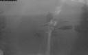./images/quadra/bluff/20200327/bluff20200327_200500M.jpg