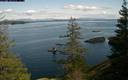 ./images/quadra/bluff/20200405/bluff20200405_142459M.jpg