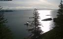./images/quadra/bluff/20200407/bluff20200407_085000M.jpg