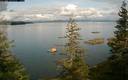 ./images/quadra/bluff/20200422/bluff20200422_172000M.jpg