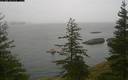 ./images/quadra/bluff/20200428/bluff20200428_111959M.jpg