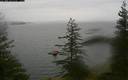 ./images/quadra/bluff/20200428/bluff20200428_132500M.jpg