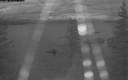 ./images/quadra/bluff/20200429/bluff20200429_211000M.jpg