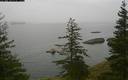 ./images/quadra/bluff/20200502/bluff20200502_110500M.jpg
