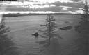 ./images/quadra/bluff/20200504/bluff20200504_051000M.jpg