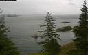 ./images/quadra/bluff/20200602/bluff20200602_114459M.jpg
