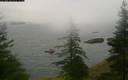 ./images/quadra/bluff/20200609/bluff20200609_055000M.jpg