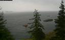 ./images/quadra/bluff/20200609/bluff20200609_064959M.jpg