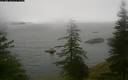 ./images/quadra/bluff/20200609/bluff20200609_084500M.jpg