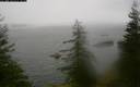 ./images/quadra/bluff/20200609/bluff20200609_085000M.jpg