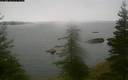 ./images/quadra/bluff/20200609/bluff20200609_085959M.jpg