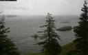 ./images/quadra/bluff/20200615/bluff20200615_111500M.jpg