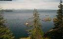 ./images/quadra/bluff/20200618/bluff20200618_180459M.jpg