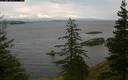 ./images/quadra/bluff/20200710/bluff20200710_154959M.jpg
