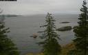 ./images/quadra/bluff/20200711/bluff20200711_144959M.jpg