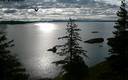 ./images/quadra/bluff/20200723/bluff20200723_080000M.jpg