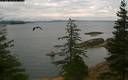 ./images/quadra/bluff/20200802/bluff20200802_111000M.jpg