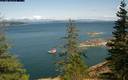 ./images/quadra/bluff/20200806/bluff20200806_155459M.jpg