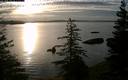 ./images/quadra/bluff/20200818/bluff20200818_070459M.jpg